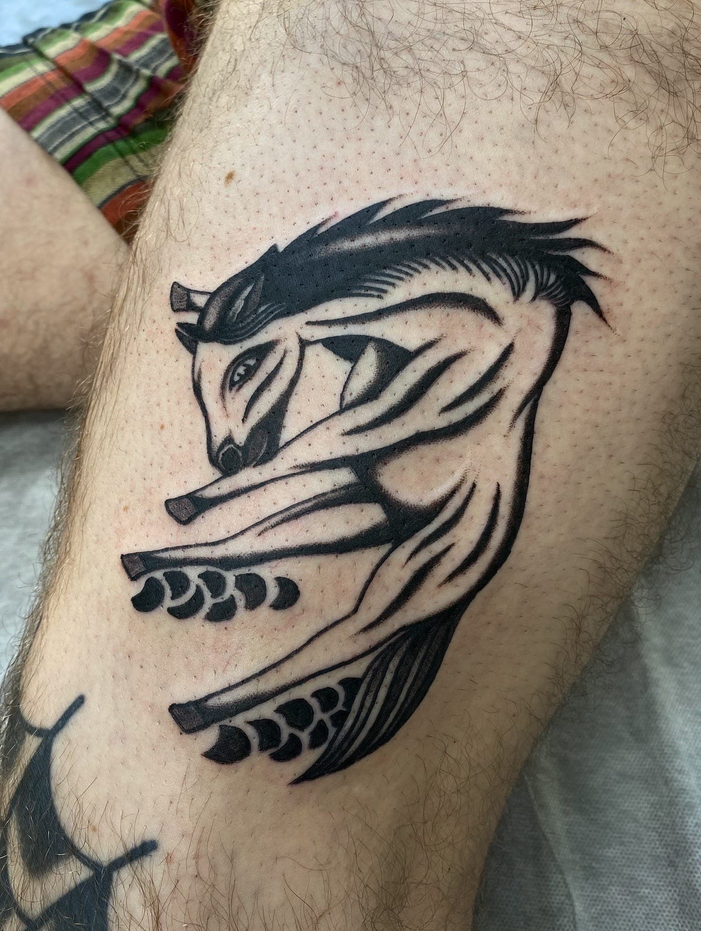 Black ink rearing horse with flowing mane in graphic blackwork style on the outer