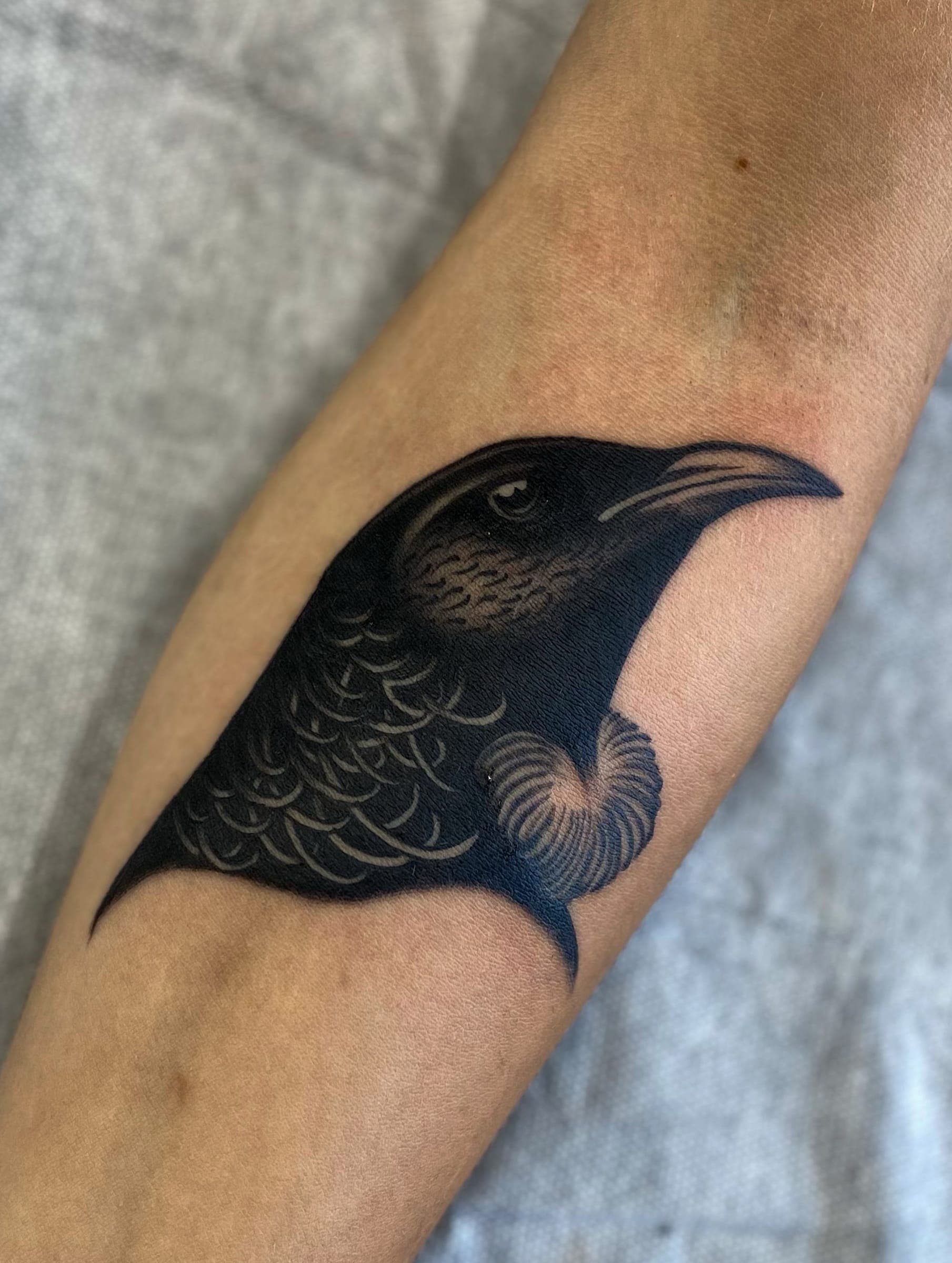 Blackwork raven or tui head in profile with white tuft on the inner
