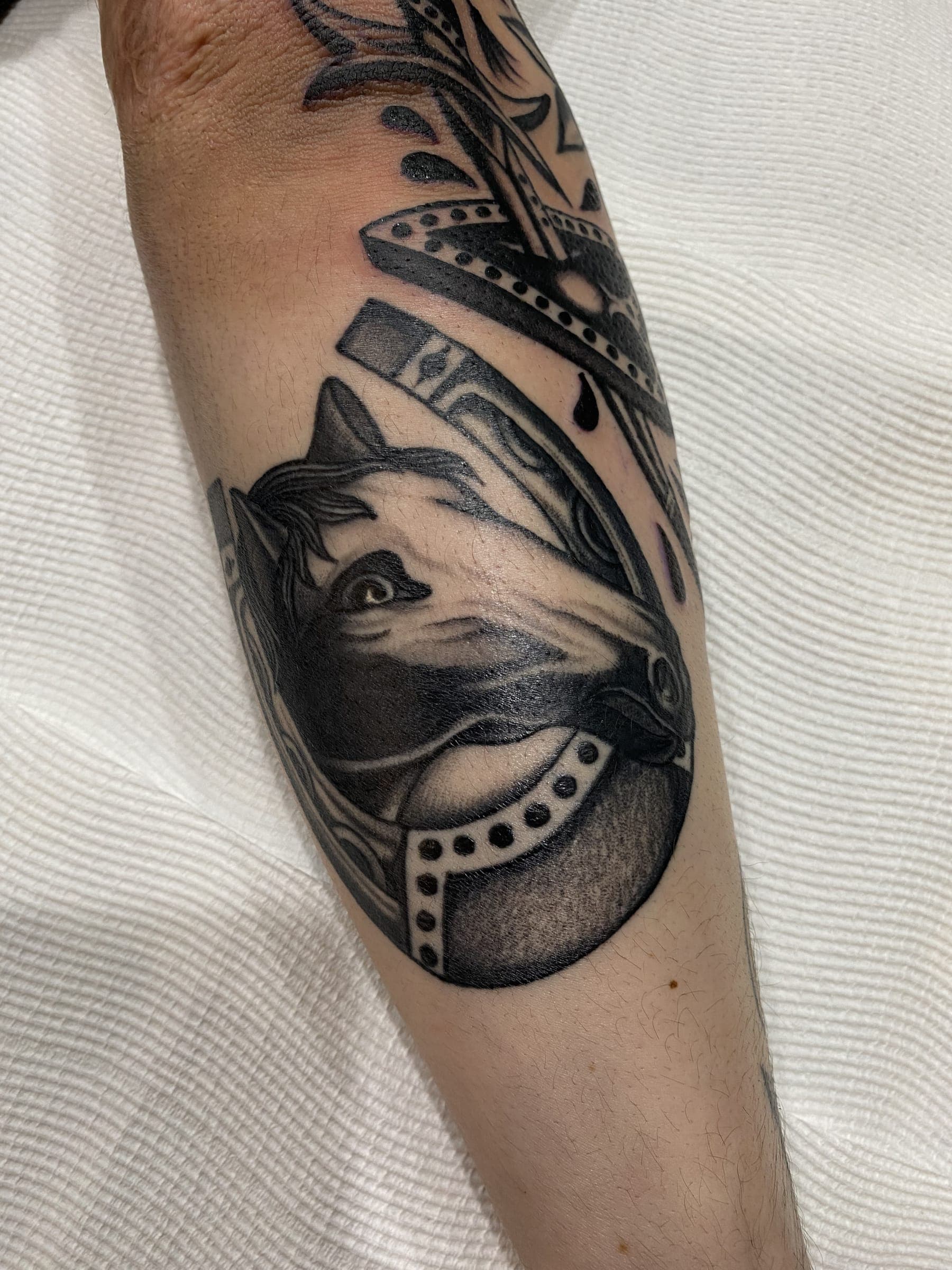 Black traditional horse head tattoo framed by a horseshoe with dotted nail holes