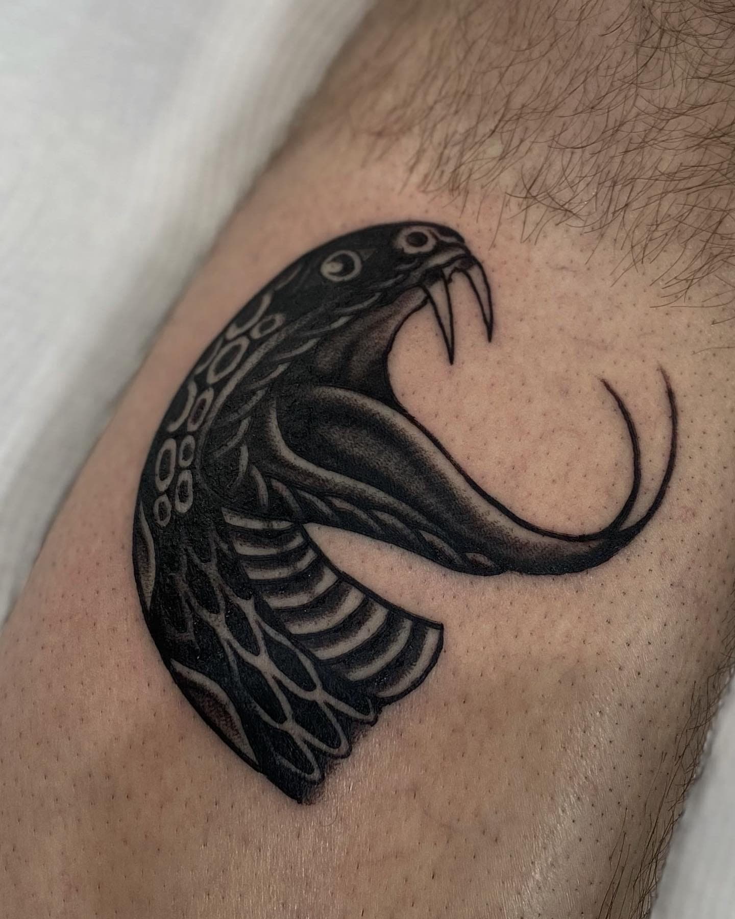 Black ink snake head with bared fangs and curled tongue on the outer
