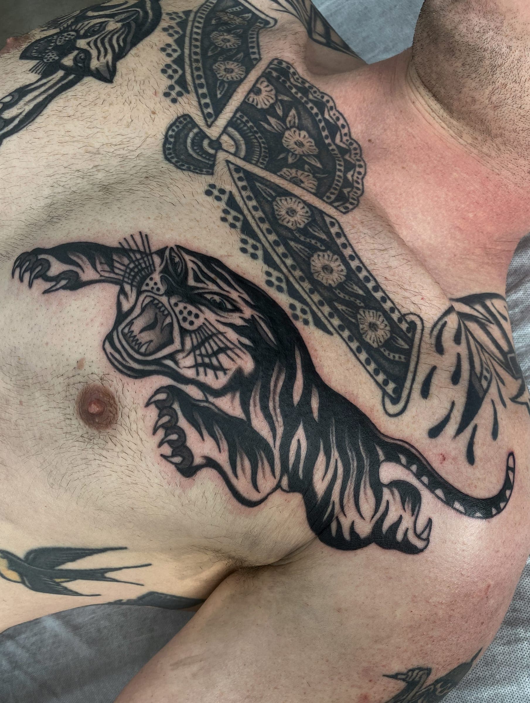 Black ink leaping tiger speared by an ornate dagger with floating swallow
