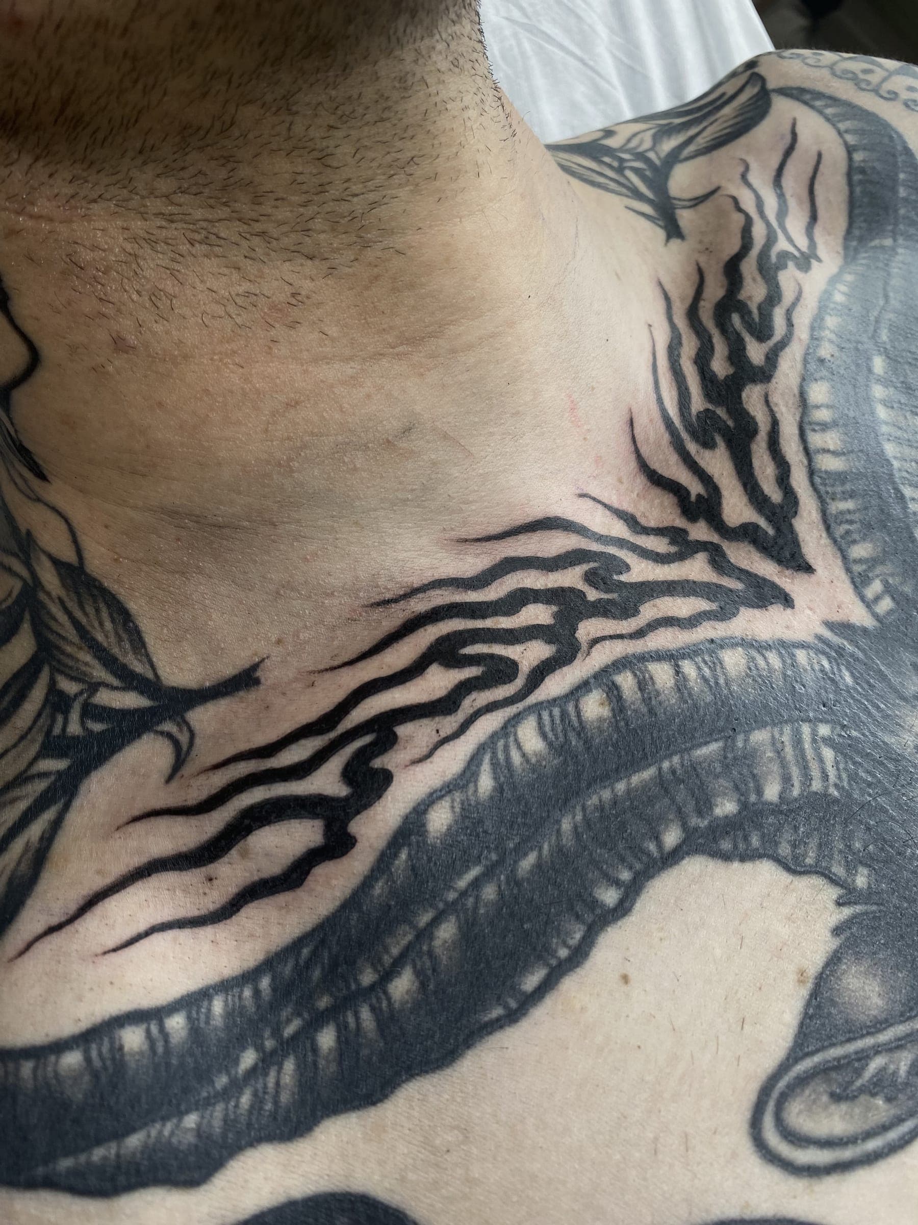 Black snake tattoo with flame-shaped fills winding up the side of