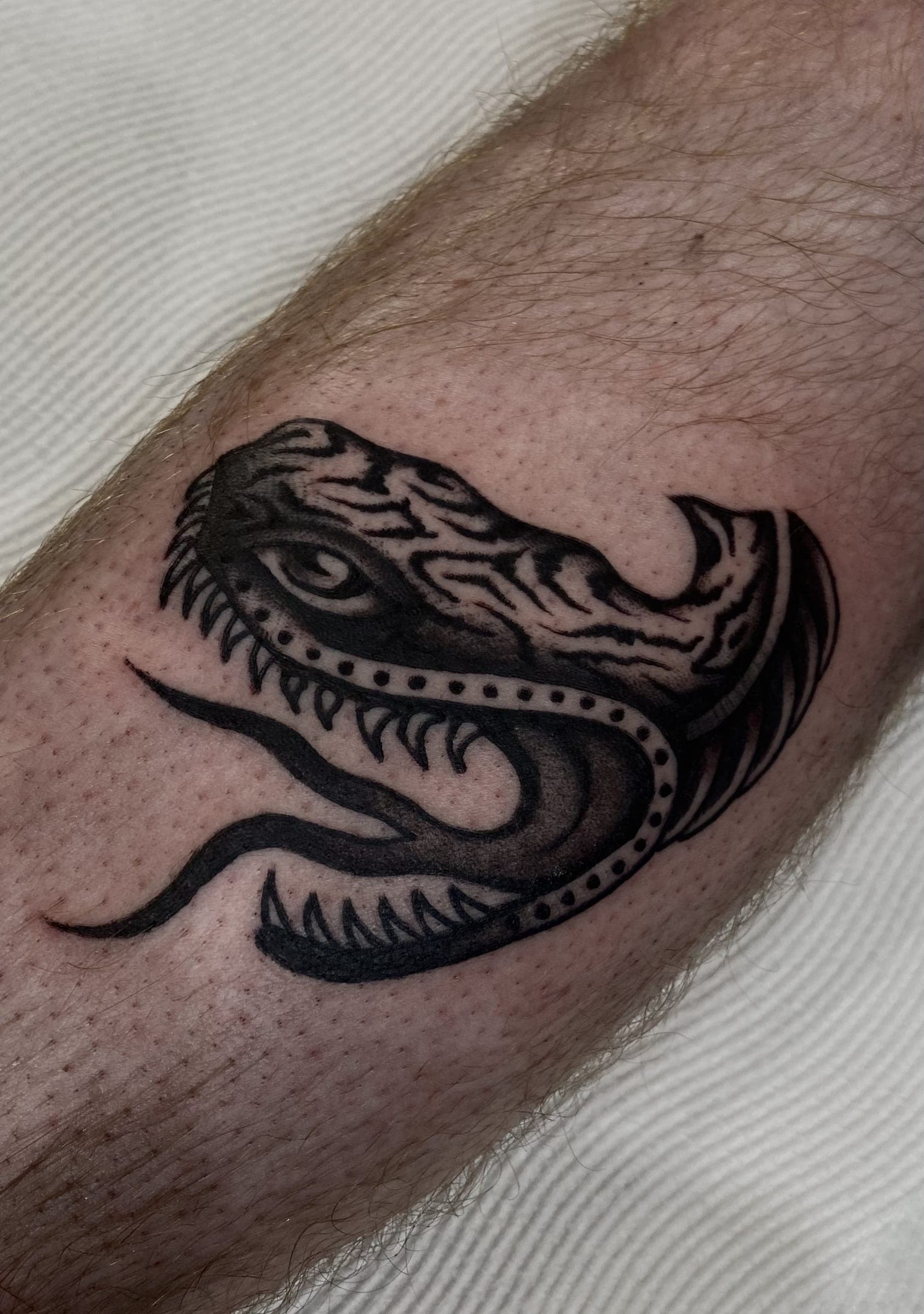 Traditional black snarling reptile head tattoo with bared teeth and a forked tongue