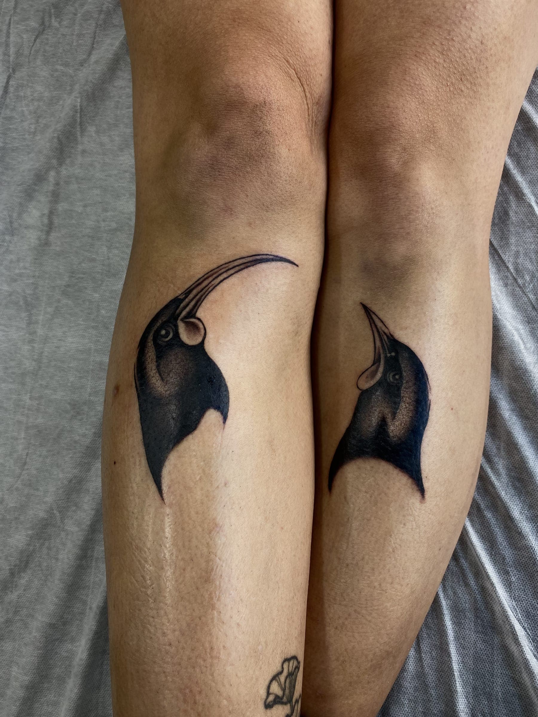 Two king penguin head portraits with long beaks tattooed on the back of two adjacent