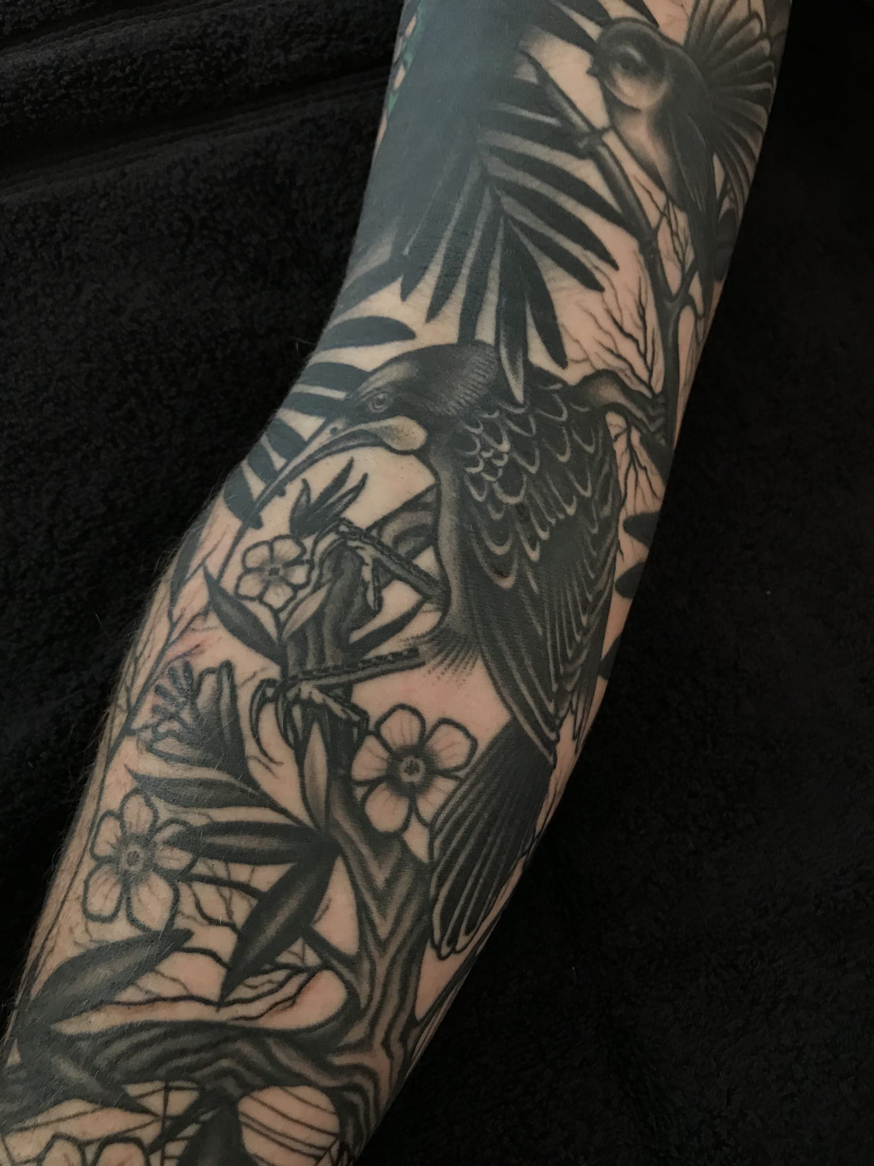 Detailed black and grey native bird with a curved beak perched in ferns and small flowers